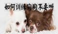 Hankou Pet Dog Grooming Shop Address 

In American English, 