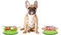 Can you feed a newborn puppy at one year old? 

Note: The tr